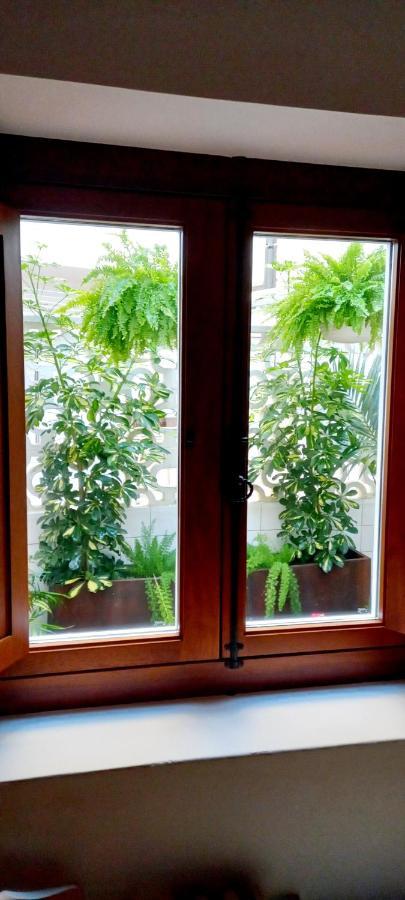Duplex En Pazo Marques De Aranda Apartment Pontevedra Ngoại thất bức ảnh